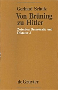Von Br?ing Zu Hitler: Der Wandel Des Politischen Systems in Deutschland 1930-1933 (Hardcover, Reprint 2017)