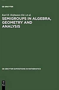 Semigroups in Algebra, Geometry and Analysis (Hardcover)