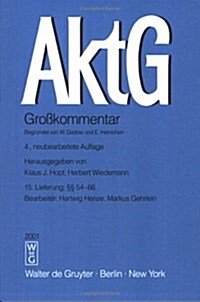 Aktiengesetz (Paperback)