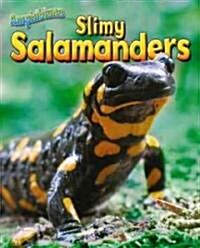 Slimy Salamanders (Library Binding)