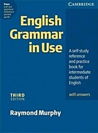 English Grammar in Use Klett Edition: A Self-Study Reference and Practice Book for Intermediate Students of English (Paperback, 3, Revised)