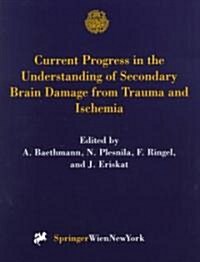 Current Progress in the Understanding of Secondary Brain Damage from Trauma and Ischemia: Proceedings of the 6th International Symposium: Mechanisms o (Hardcover, 1999)
