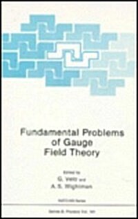Fundamental Problems of Gauge Field Theory (Hardcover)