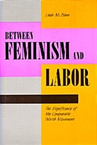 Between Feminism and Labor: The Significance of the Comparable Worth Movement (Paperback)