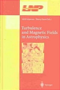 Turbulence and Magnetic Fields in Astrophysics (Hardcover, 2003)