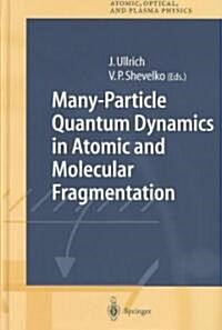 Many-Particle Quantum Dynamics in Atomic and Molecular Fragmentation (Hardcover, 2003)