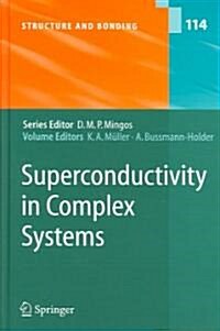 Superconductivity in Complex Systems (Hardcover, 2005)