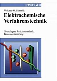Elektrochemische Verfahrenstechnik (Hardcover)
