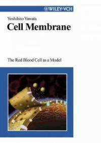 Cell membrane: the red blood cell as a model