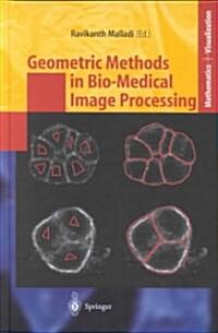 Geometric Methods in Bio-Medical Image Processing (Hardcover)