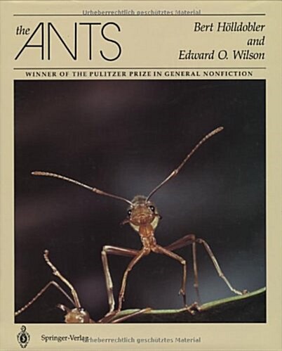 The Ants (Hardcover, 1990. 2nd Print)