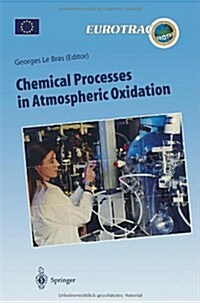 Chemical Processes in Atmospheric Oxidation: Laboratory Studies of Chemistry Related to Troposheric Ozone (Hardcover)