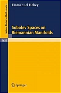 Sobolev Spaces on Riemannian Manifolds (Paperback)