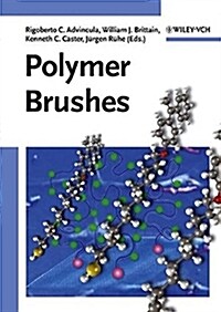 Polymer Brushes: Synthesis, Characterization and Applications (Hardcover)