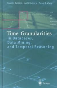 Time granularities in databases, data mining, and temporal reasoning