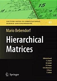 Hierarchical Matrices: A Means to Efficiently Solve Elliptic Boundary Value Problems (Paperback)