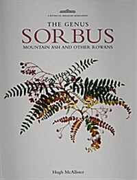 Genus Sorbus : Mountain Ash and other Rowans (Hardcover)