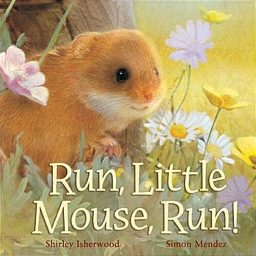 Run, Little Mouse, Run! (Hardcover)