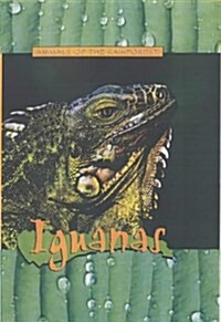 Iguanas (Hardcover)