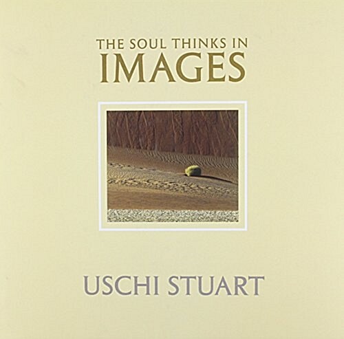 The Soul Thinks in Images (Paperback)