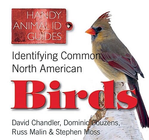 Identifying Common North American Birds (Paperback, New ed)