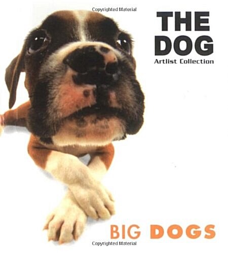 Big Dogs (Paperback)