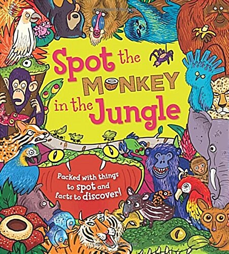 [중고] Spot the Monkey in the Jungle (Paperback)