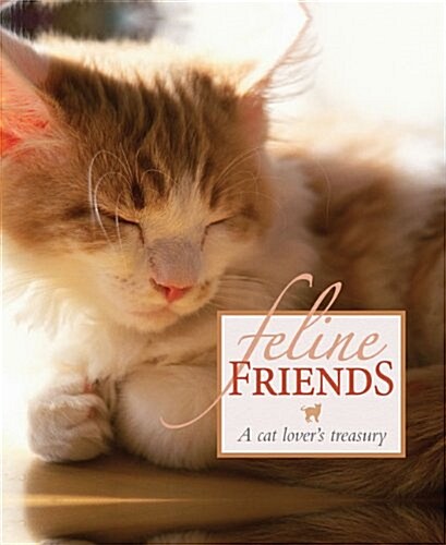 FELINE FRIENDS (Hardcover)