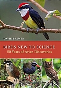 Birds New to Science : Fifty Years of Avian Discoveries (Hardcover)