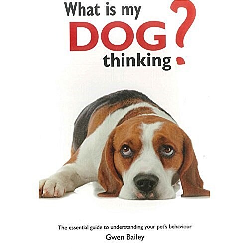 WHAT IS MY DOG THINKING THE WORKS (Paperback)