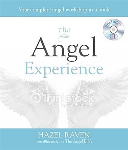The Angel Experience : Your Complete Angel Workshop in a Book (Paperback)