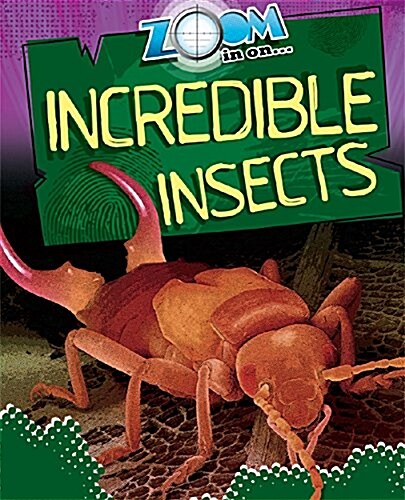 Zoom in On: Incredible Insects (Paperback)