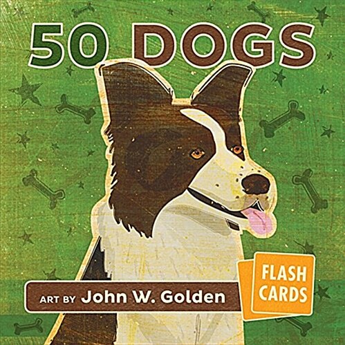 JOHN W GOLDEN 50 DOGS FLASH CARDS