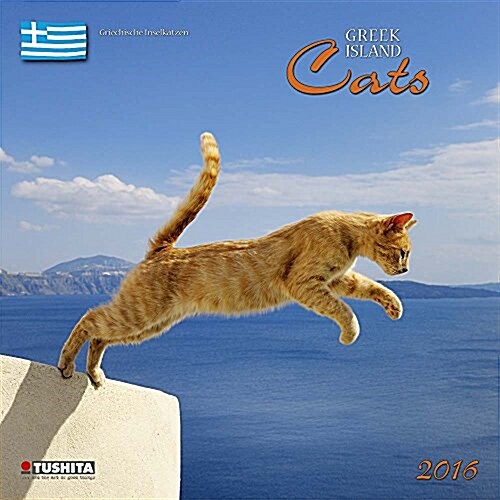 GREEK ISLAND CATS 2016
