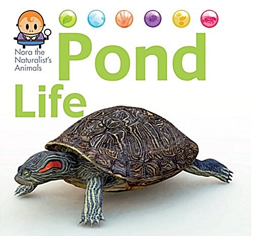Nora the Naturalists Animals: Pond Life (Hardcover, Illustrated ed)