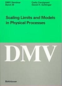Scaling Limits and Models in Physical Processes (Paperback, 1998)
