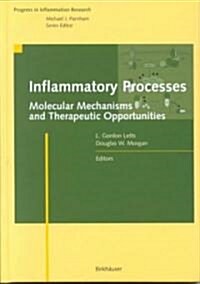 Inflammatory Processes: Molecular Mechanisms and Therapeutic Opportunities (Hardcover)
