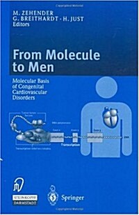 From Molecule to Men: Molecular Basis of Congenital Cardiovascular Disorders (Hardcover, 2000)