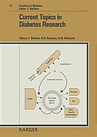 Current Topics in Diabetes Research (Hardcover)