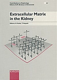 Extracellular Matrix in the Kidney (Hardcover)
