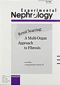 Renal Scarring - A Multi-Organ Approach to Fibrosis (Paperback)