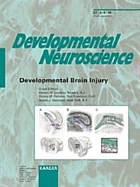 Developmental Brain Injury (Paperback, Special)