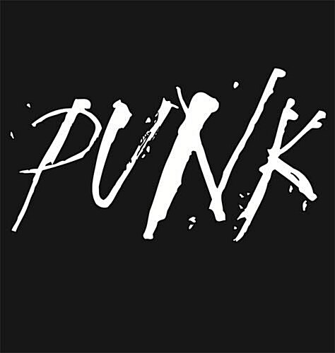 Punk (Paperback)