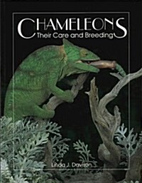 Chameleons (Paperback, UK)