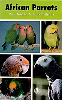 African Parrots (Hardcover, UK)