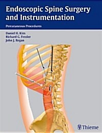 Endoscopic Spine Surgery and Instrumentation (Hardcover)