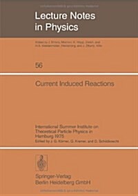 Current Induced Reactions: International Summer Institute on Theoretical Particle Physics in Hamburg 1975 (Hardcover)