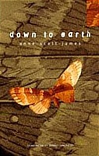 Down to Earth (Paperback, New ed)