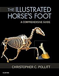 The Illustrated Horses Foot : A comprehensive guide (Hardcover)
