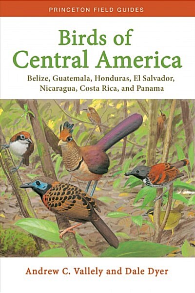 Birds of Central America: Belize, Guatemala, Honduras, El Salvador, Nicaragua, Costa Rica, and Panama (Paperback)